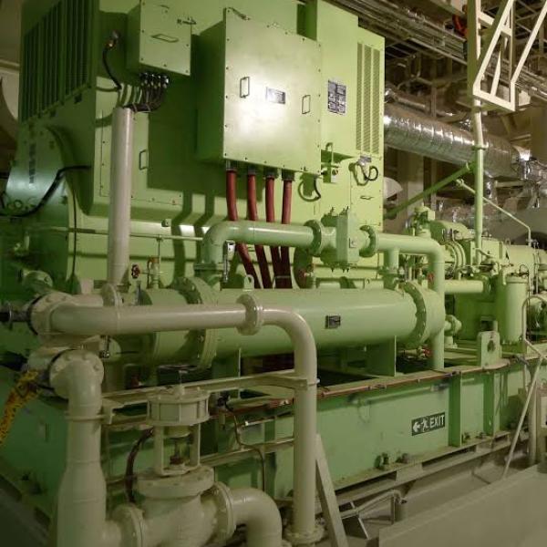 Marine Shaft Generator